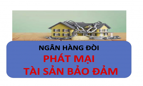 LUẬT SƯ BẢO VỆ BÊN VAY, BÊN THẾ CHẤP KHI BỊ NGÂN HÀNG ĐÒI PHÁT MẠI TÀI SẢN